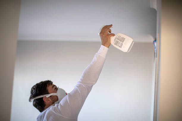 Best Mold Removal Specialists  in Chehalis, WA